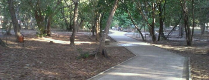 Parque das Dunas is one of Lugares em Natal.
