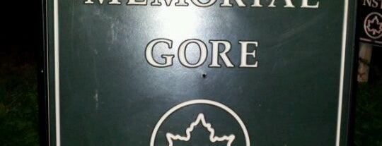 Memorial Gore is one of สถานที่ที่ Albert ถูกใจ.