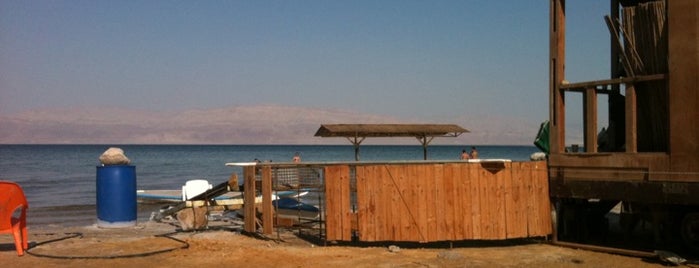 Ein Gedi is one of Israel 2012 (Jerusalem-Tel Aviv-Dead Sea).