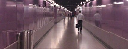 MTR Causeway Bay Station is one of Stations/Terminals.