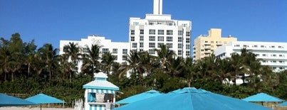 The Palms South Beach Hotel Miami is one of Gespeicherte Orte von Stephanie.