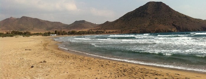 Playa de los Genoveses is one of cabo.