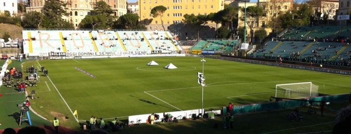 Stadio Artemio Franchi is one of Siena (Sienna).