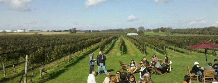 Palmer Vineyards is one of Long Island.