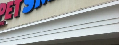 PetSmart is one of สถานที่ที่ Bradford ถูกใจ.