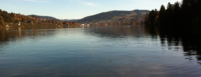 Lac de Gerardmer is one of Ludovicさんのお気に入りスポット.