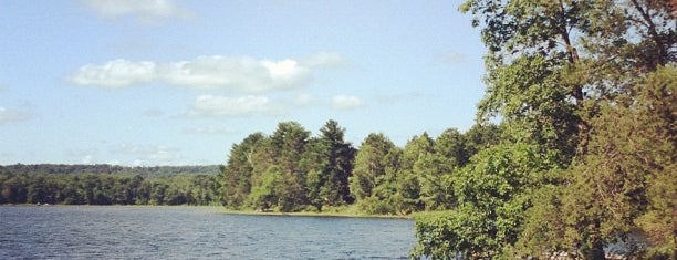 Gull Lake is one of Kristinaさんの保存済みスポット.