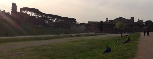 Circus Maximus is one of Parks in Rome - Italy.