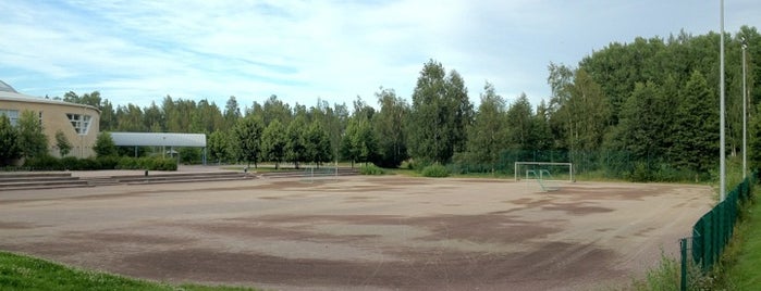 Saarniraivion koulun kenttä is one of Finnish Baseball (Pesäpallo) in Helsinki area.