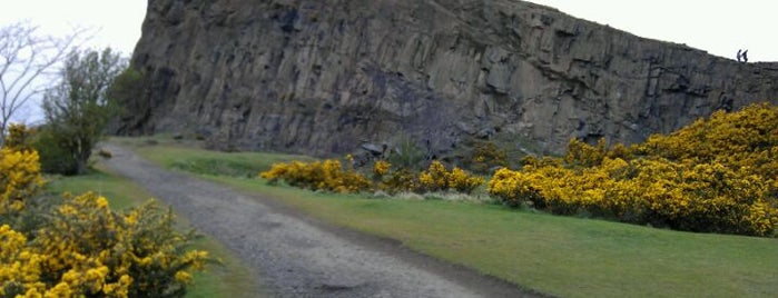 Holyrood Park is one of Best parks to run in Europe.