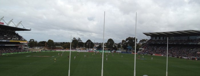 GMHBA Stadium is one of AFL Grounds.