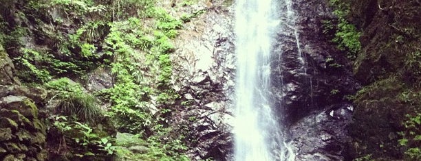 Hossawa Falls is one of 日本の滝百選.
