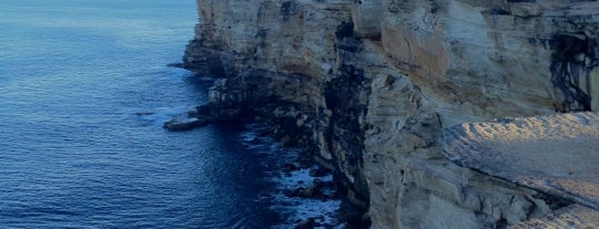 Royal National Park is one of Sydney, NSW.