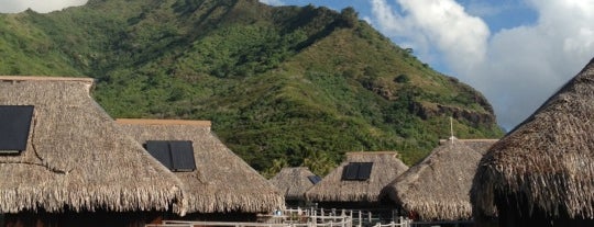 Hilton Moorea is one of Lugares favoritos de Dave.