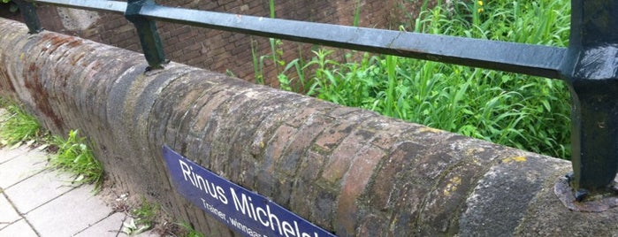 Rinus Michelsbrug (Brug 245) is one of Bridges in the Netherlands.