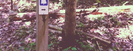 Chubb Trail Parking Lot is one of Hiking \ Outdoor Activity.