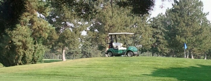 Indian Lakes Golf Course is one of Locais curtidos por Alexis.