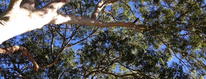 Fig Tree Pocket is one of Brisbane Suburbs.