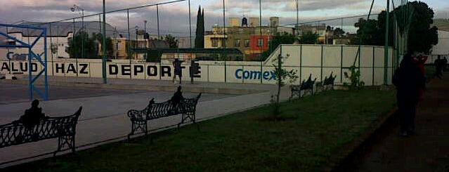 Unidad Deportiva Capce is one of สถานที่ที่ Gustavo ถูกใจ.