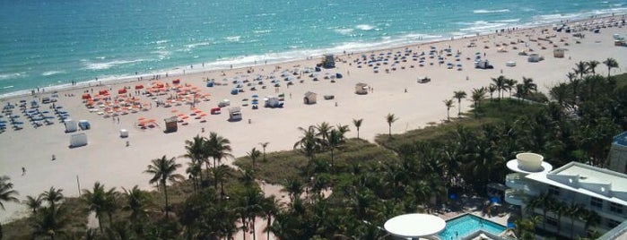 Loews Miami Beach Hotel is one of Get a Tan Line in Miami.