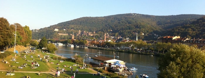 Neckarwiese is one of Heidelberg.