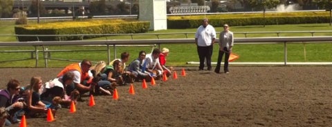 Golden Gate Fields is one of Bay Area places to live out Mobile Games!!!.