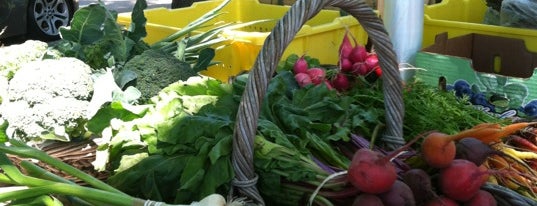 Halsey Farm Stand is one of Long Island.