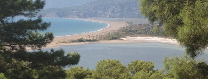 İztuzu Beach is one of Sarigerme.
