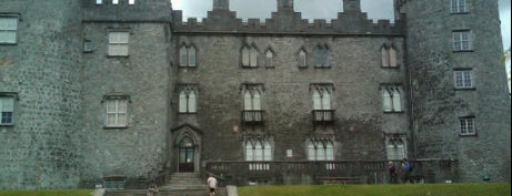 Kilkenny Castle is one of Ireland - Pubs, Shops and Castles.