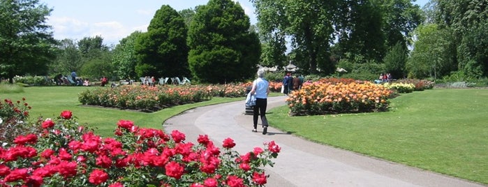 Regent's Park is one of London as a local.
