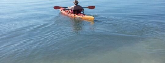 Sail Honeymoon is one of Best of South Tampa Outdoors.