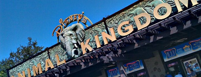 Disney's Animal Kingdom is one of Fun in Florida.