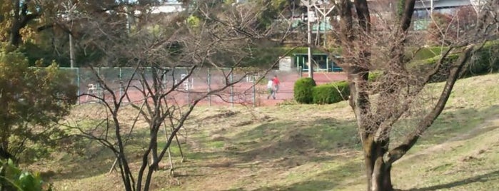 児子沼公園テニスコート is one of Tennis Court relates on me.