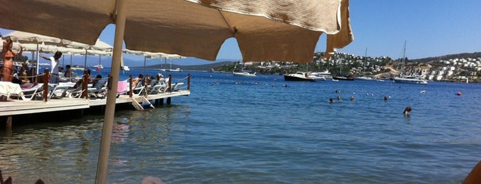 Mado is one of bodrum.