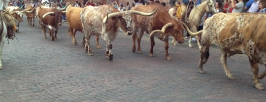 Stockyards