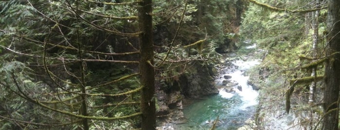 Lynn Canyon Park is one of Vancouver Tour.