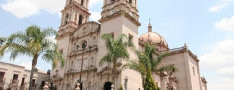 Yahualica de González Gallo is one of Ciudades De México.