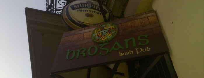 Brogans Irish Pub is one of Poznan.