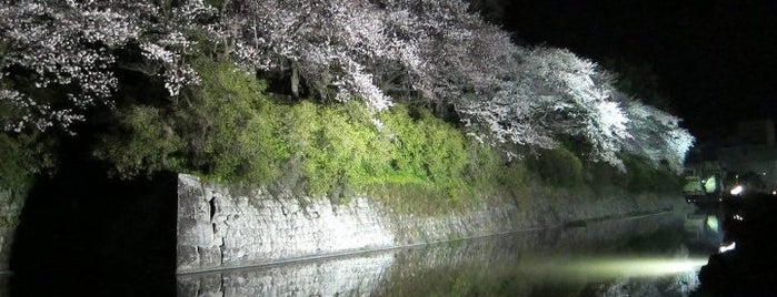 中堀東 (夜桜ポイント) is one of 駿府城公園.