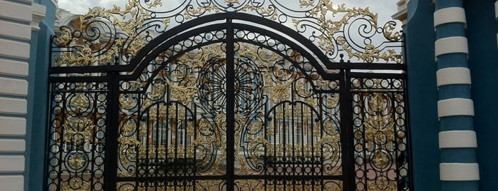 The Catherine Palace is one of Мои посещения.