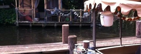 Jungle Cruise is one of Must See Disney Magic Kingdom.