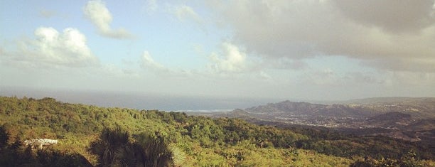 Farley Hill is one of Barbados.