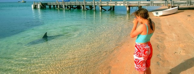 RAC Monkey Mia Dolphin Resort is one of Top 20 Australian Beaches.