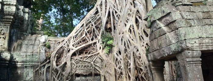 Ta Prohm ប្រាសាទតាព្រហ្ម is one of Places I have been already... and Love them!.