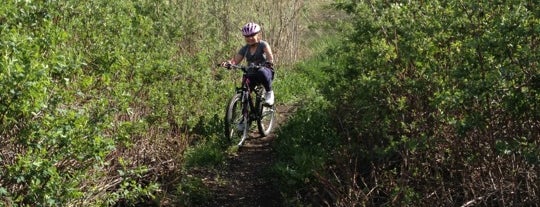 Germania Park is one of Favorite Mountain Bike Trails.