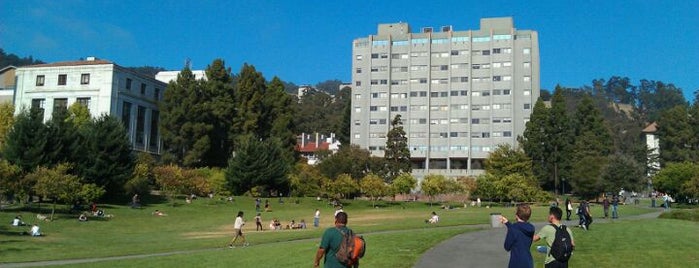 Memorial Glade is one of Berkeley study spots.