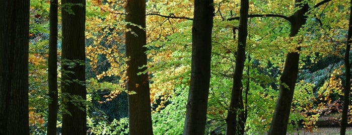 Batsford Arboretum is one of Lugares favoritos de Elliott.