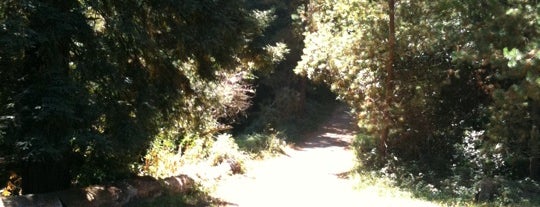Joaquin Miller Park is one of East Bay Running Trails.