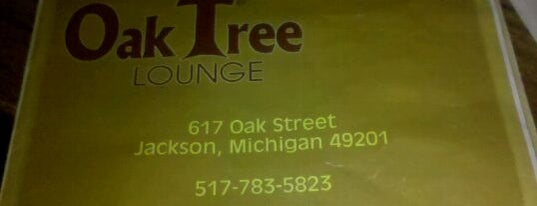 Oak Tree Lounge is one of Jackson is Pure Michigan.