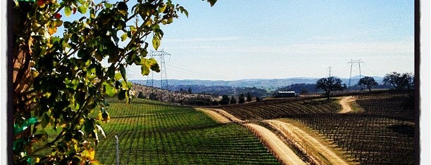 Pear Valley Vineyards is one of Andrew : понравившиеся места.